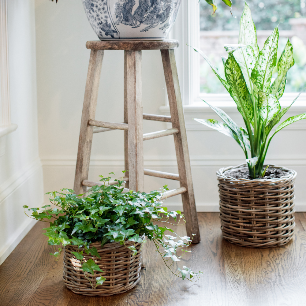 Rattan Planter Baskets