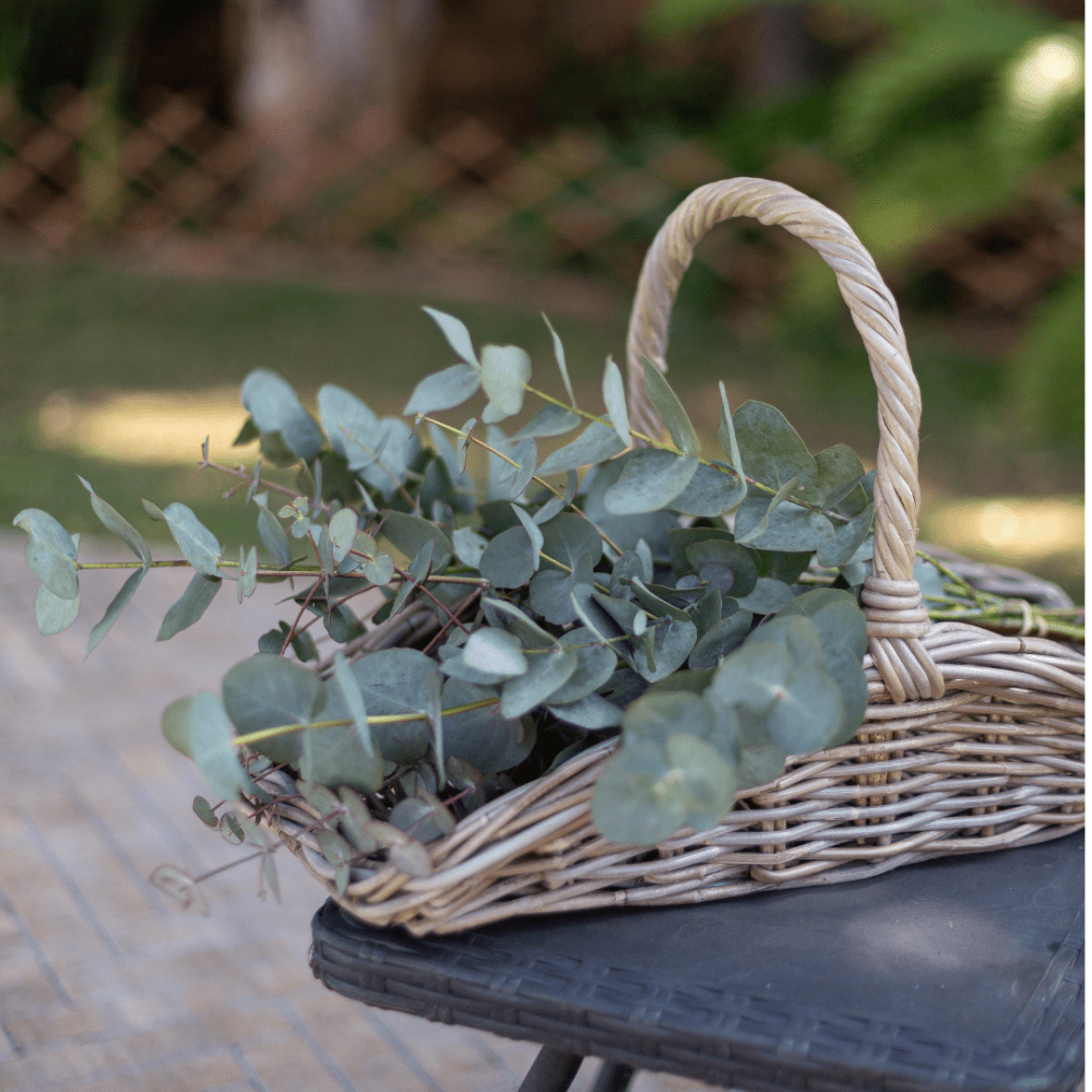 Rattan Garden Trug Basket